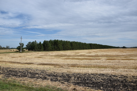 Autumn nature in Siberiaの写真素材