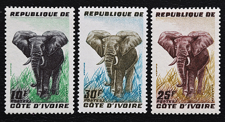 A series of postage stamps of the republic Coast of ivory. Fauna of the African continent. Elephants.のeditorial素材
