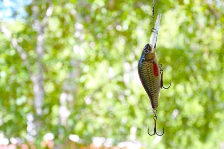 Bait number 1 for catching predatory fish in lakes and rivers.の写真素材