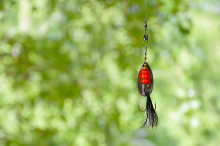 Bait number 6 for catching predatory fish in lakes and rivers.の写真素材