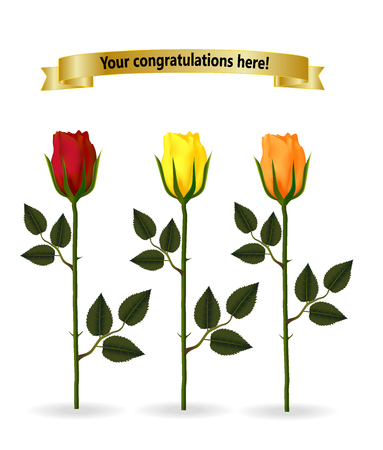 A mock-up greeting card with three different-colored roses. Place your greetings on a gold ribbon banner. Vector illustration.のイラスト素材