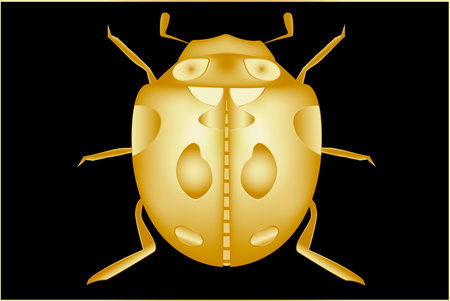 The Golden Ladybug is a symbol of prosperity, goodness and peace. Vector illustration on a black background.のイラスト素材