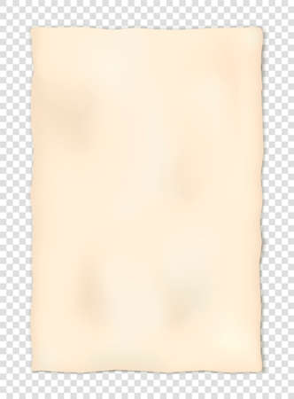 Vertically oriented mockup of an old sheet of paper, papyrus, page of an ancient book, fossil document on a transparent background with realistic shadows. Vector illustration.のイラスト素材