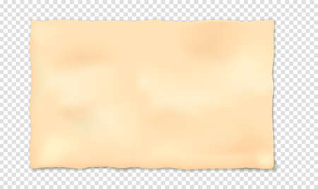 Mock up of an old sheet of paper, papyrus, page of an ancient book, fossil document on a transparent background with realistic shadows. Vector illustration.のイラスト素材