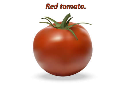 Realistic 3d Red tomato with leafs and realistic shadows on white background. Designed for your design. Vector illustration.のイラスト素材