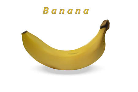 Realistic 3d image of a banana on a white background. Vector illustration.のイラスト素材