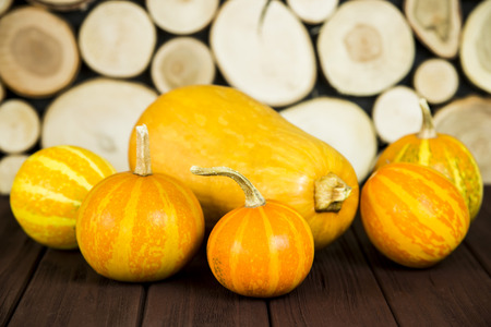 large and small pumpkins on a wooden table. Autumn conceptの写真素材