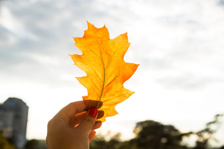 girl holding an autumn leaf in hands