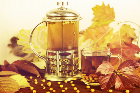 brew with sea buckthorn tea next to a transparent cup among the autumn leavesの写真素材