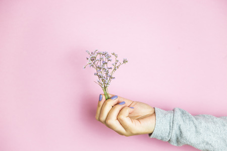 Limonium flowers in female hands with lilac manicureの写真素材