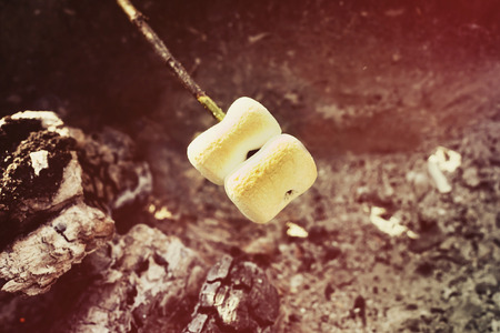 roasted on the fire marshmallows on a stick. autumn pastime conceptの写真素材