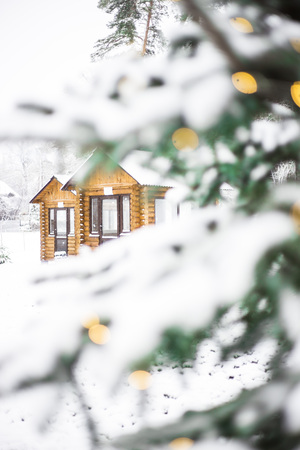 Snow-covered green Christmas tree decorated with lights in a forest near the wooden small housesの写真素材