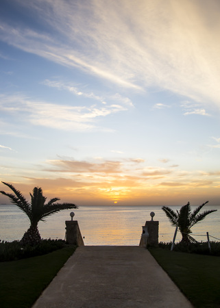 Dawn of the sun - the path to the sea among the palmsの写真素材