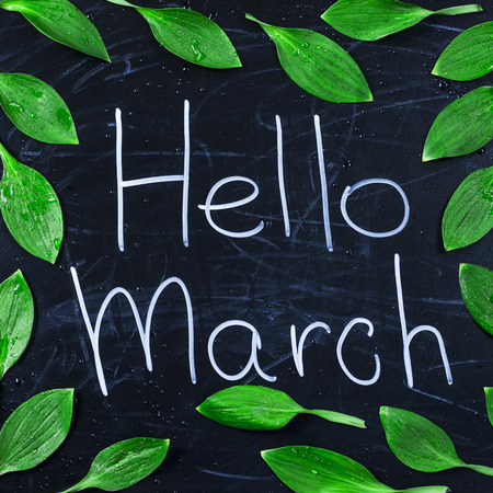 First day of spring. hello march. backgroundの写真素材