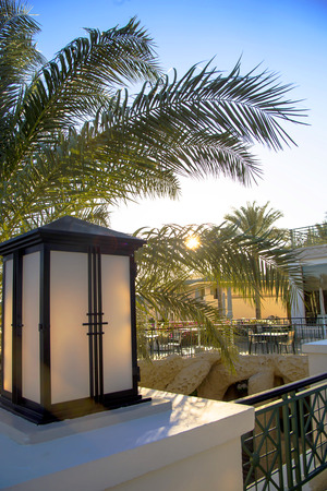Sunset sun illuminates the palm branches and the hotel terrace in the resortの写真素材