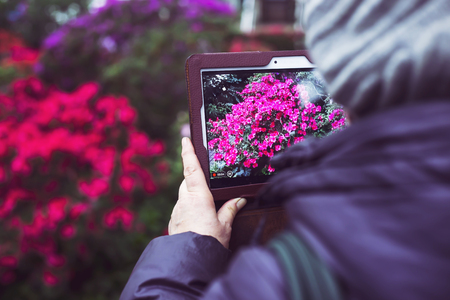 An elderly woman takes pictures of flowers in a greenhouse on her tabletの写真素材