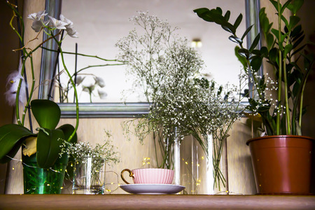 Pink vintage cup with tea on the cupboard near the mirror among the white dry flowers gypsophila. Home interior and still lifeの写真素材