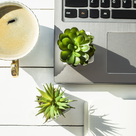 Workplace with laptop and notepad next to a cup of coffee. On a white table next to the house plants are succulents. Top view, flat layの写真素材