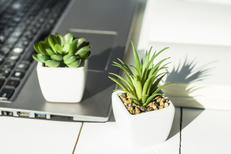 Two small pots with succulents at the computer on the desktop. Next to a white open notepad. A minimalistic stylish workplaceの写真素材