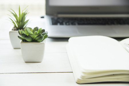 Two small pots with succulents at the computer on the desktop. Next to a white open notepad. A minimalistic stylish workplaceの写真素材