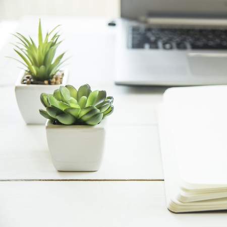 Two small pots with succulents at the computer on the desktop. Next to a white open notepad. A minimalistic stylish workplaceの写真素材