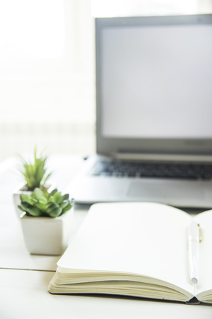 Two small pots with succulents at the computer on the desktop. Next to a white open notepad. A minimalistic stylish workplaceの写真素材