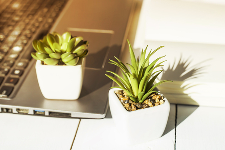 Two small pots with succulents at the computer on the desktop. Next to a white open notepad. A minimalistic stylish workplace in the sunlightの写真素材