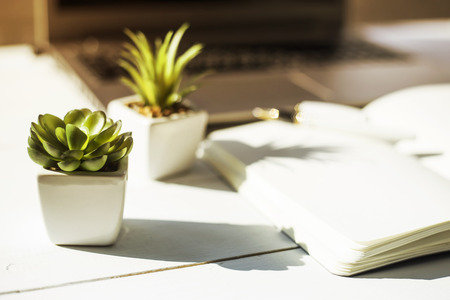 Two small pots with succulents at the computer on the desktop. Next to a white open notepad. A minimalistic stylish workplace in the sunlightの写真素材