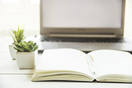 Two small pots with succulents at the computer on the desktop. Next to a white open notepad. A minimalistic stylish workplace in the sunlightの写真素材