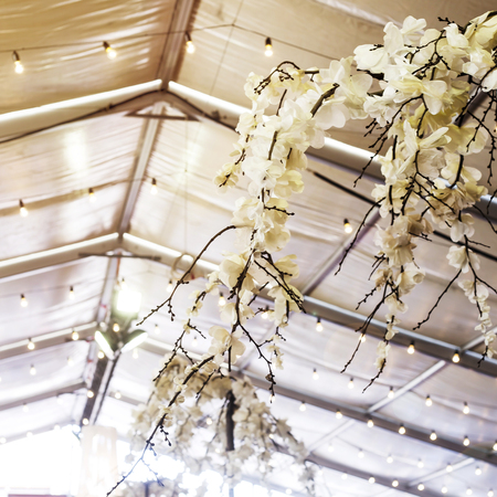 Decoration of a street festival - white blossoming of a tree against a background of garlands of shards under the ceilingの写真素材