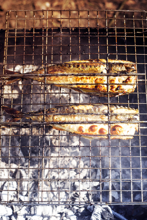 Two mackerels are cooking on the grill. Summer barbecue in nature. Family rest and healthy eatingの写真素材