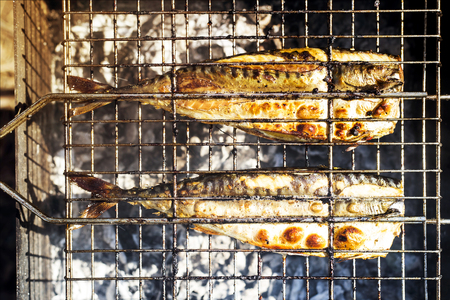 Two mackerels are cooking on the grill. Summer barbecue in nature. Family rest and healthy eatingの写真素材