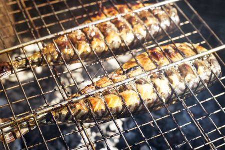 Two mackerels are cooking on the grill. Summer barbecue in nature. Family rest and healthy eatingの写真素材