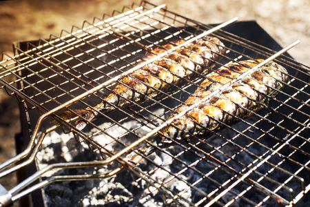 Two mackerels are cooking on the grill. Summer barbecue in nature. Family rest and healthy eatingの写真素材