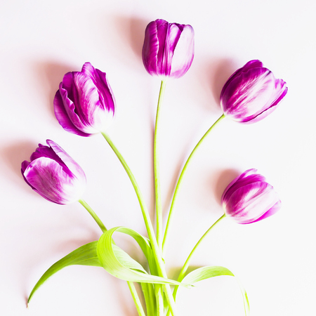 A bouquet of lilac tulips on a purple background. Lifestyle photo. Top view, flat layの写真素材