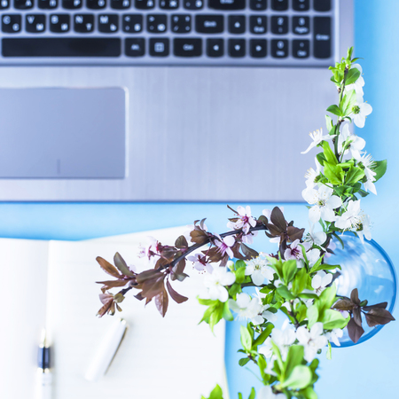 A bouquet of flowering branches on a creative desktop with a laptop and a notebook on a blue backgroundの写真素材