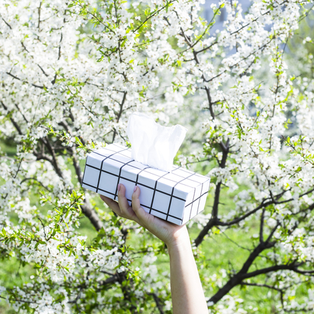 A woman's hand holds a black and white box with napkins against the blossoming spring tree. Allergy to blooming conceptの写真素材