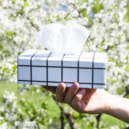 A man's hand holds a black and white box with napkins against the blossoming spring tree. Allergy to blooming conceptの写真素材