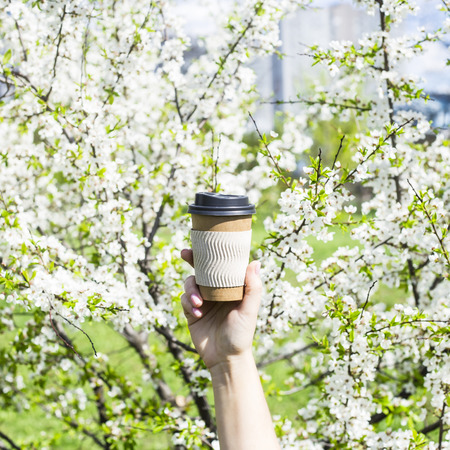 A woman's hand holds a disposable cup of coffee against the blossoming spring tree. The beginning of a beautiful spring day. Good mood and lifestyleの写真素材
