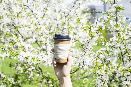 A woman's hand holds a disposable cup of coffee against the blossoming spring tree. The beginning of a beautiful spring day. Good mood and lifestyleの写真素材