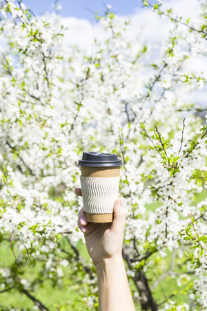 A woman's hand holds a disposable cup of coffee against the blossoming spring tree. The beginning of a beautiful spring day. Good mood and lifestyleの写真素材