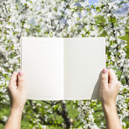 Female hands hold a notebook open on empty pages against the background of a blossoming spring tree. Planning the day. Plan for the spring conceptの写真素材