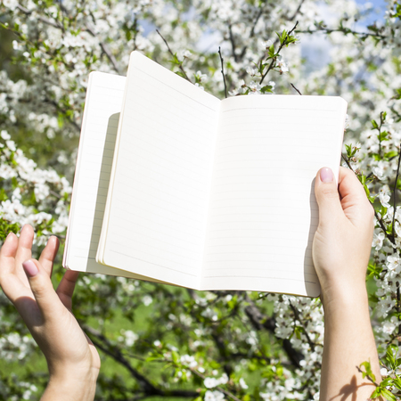 Female hands hold a notebook open on empty pages against the background of a blossoming spring tree. Planning the day. Plan for the spring conceptの写真素材