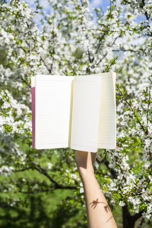 Female hands hold a notebook open on empty pages against the background of a blossoming spring tree. Planning the day. Plan for the spring conceptの写真素材