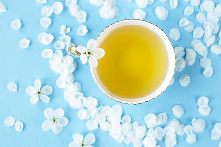 A blue delicate cup of green tea among the petals of white spring flowering trees on a blue background. Spring inspiration concept. Top view, flat layの写真素材