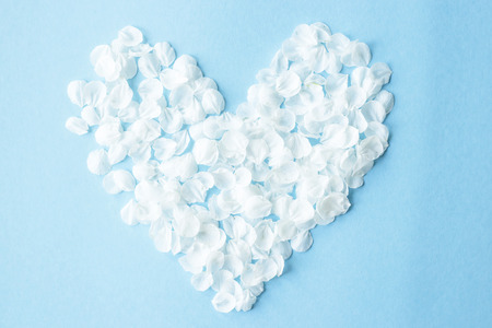 The white petals of spring flowers are lined in the form of a heart. I love the spring concept. Top view, flat layの写真素材