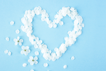 The white petals of spring flowers are lined in the form of a heart. I love the spring concept. Top view, flat layの写真素材