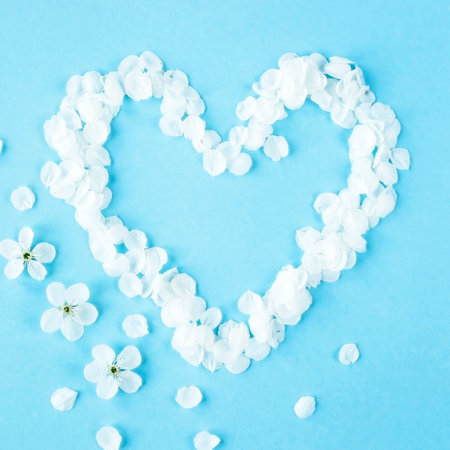 The white petals of spring flowers are lined in the form of a heart. I love the spring concept. Top...