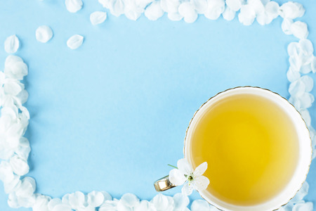 Frame of white petals of spring flowers on a blue background next to cup of tea. Spring background concept. Top view, flat layの写真素材