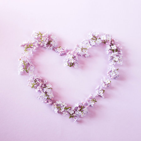 Lilac flowers lined in the shape of a heart on a purple background. background. Top view, flat, lay, copy spaceの写真素材